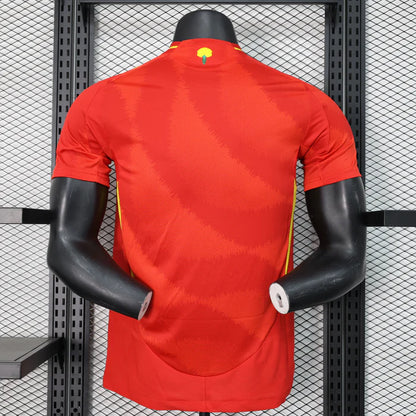 Spain 24-25 Home Kit