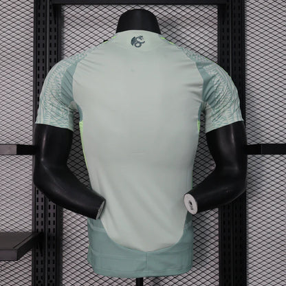 Mexico 24-25 Away Kit